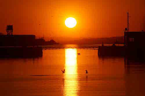 三池港「光の航路」