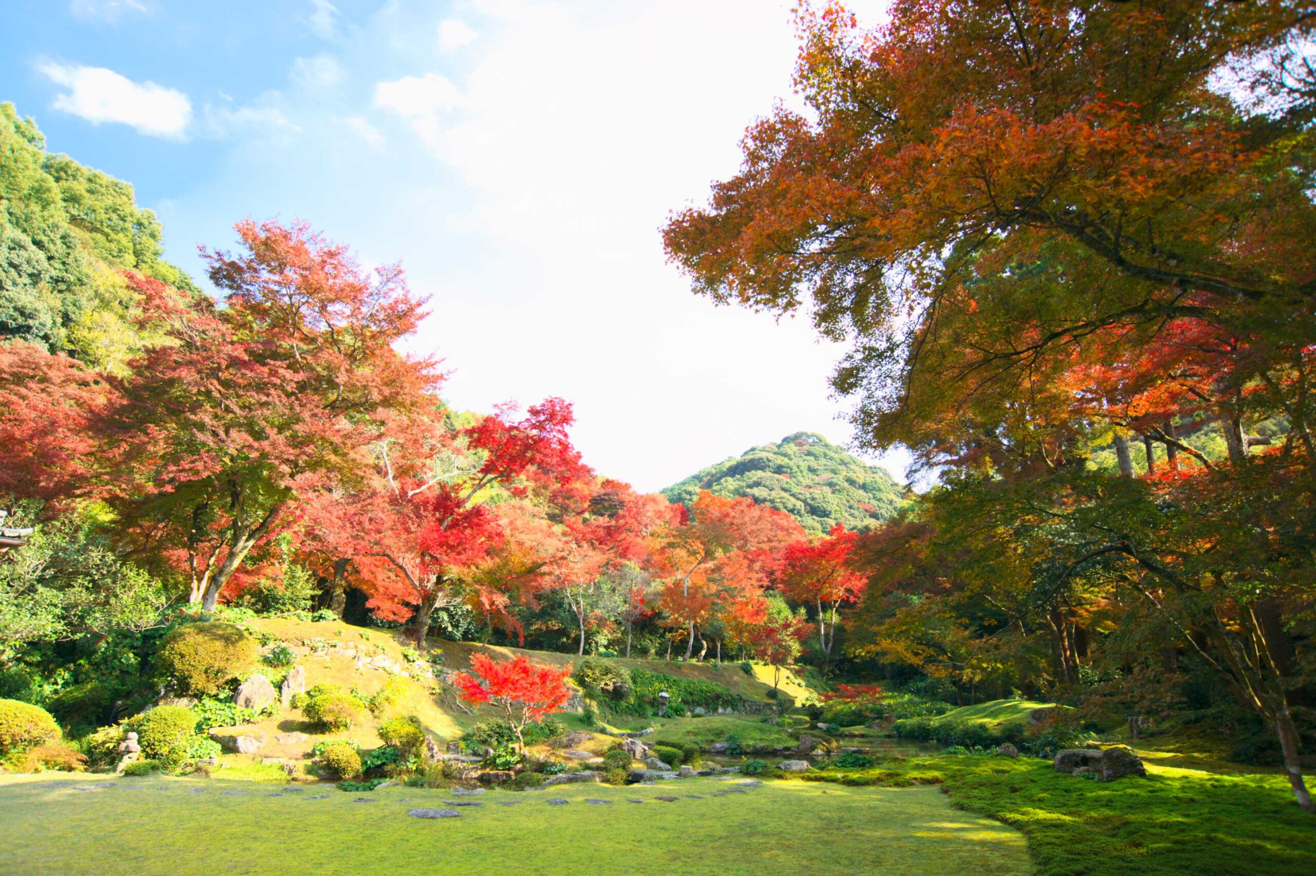 清水寺散策（清水寺三重塔・清水寺本坊庭園・清水山ぼたん園）