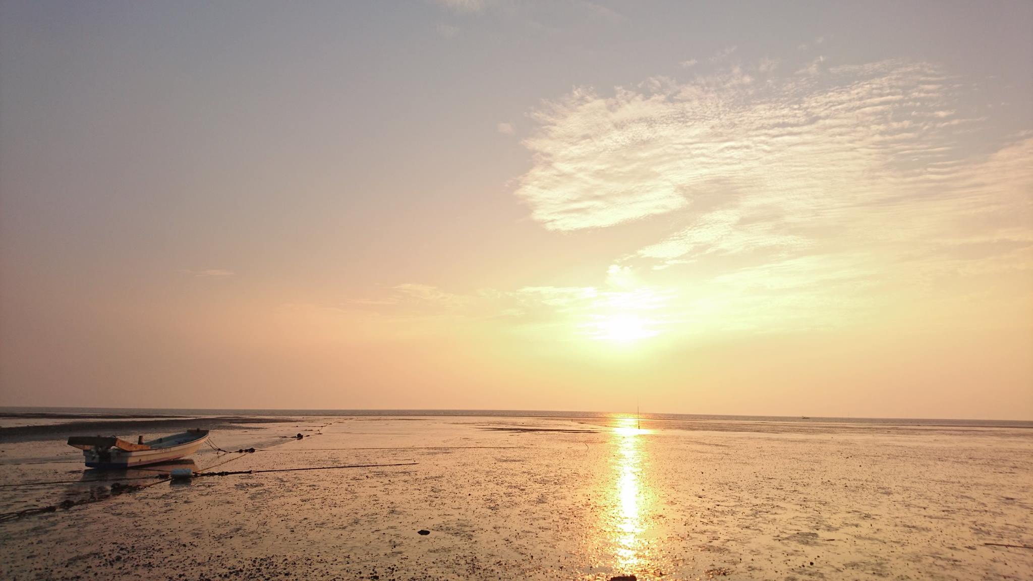 荒尾干潟（ラムサール条約登録湿地）