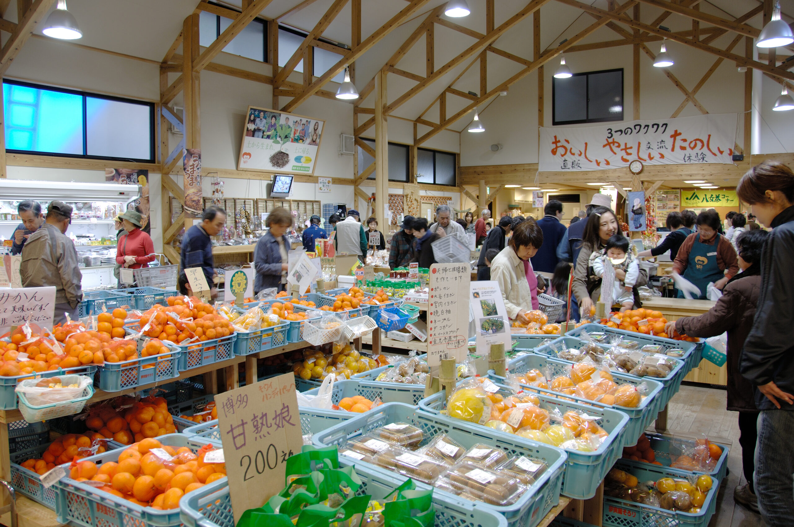 道の駅たちばな